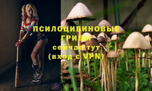 ешки Абаза