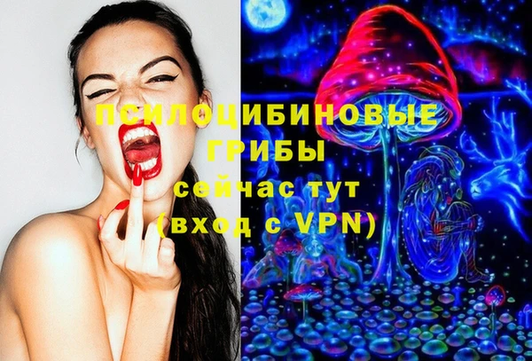 СК Абинск