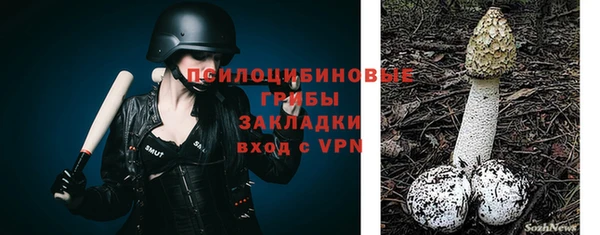 СК Абинск