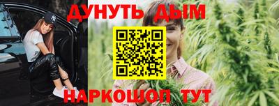 СК Обь