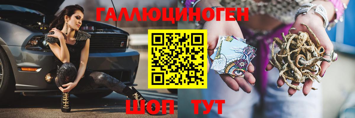 Хасавюрт  Псилоцибиновые грибы MAGIC MUSHROOMS  Вход с VPN 