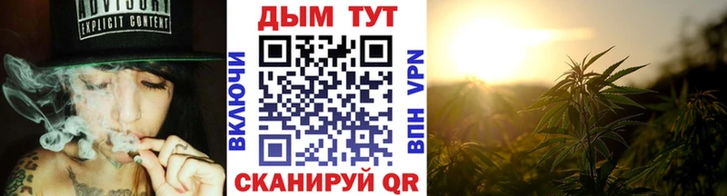 где купить наркотик  Хасавюрт  нарко площадка клад  Каннабис сатива 